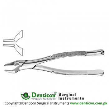 American Pattern Tooth Extracting Forcep Fig. 286 (For Upper Roots, Incisors and Premolars) Stainless Steel, Standard